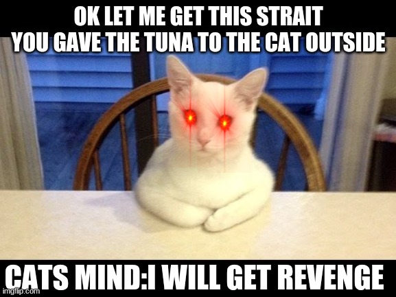 kitty want the tuna back | OK LET ME GET THIS STRAIT YOU GAVE THE TUNA TO THE CAT OUTSIDE; CATS MIND:I WILL GET REVENGE | image tagged in kitty wanna talk | made w/ Imgflip meme maker