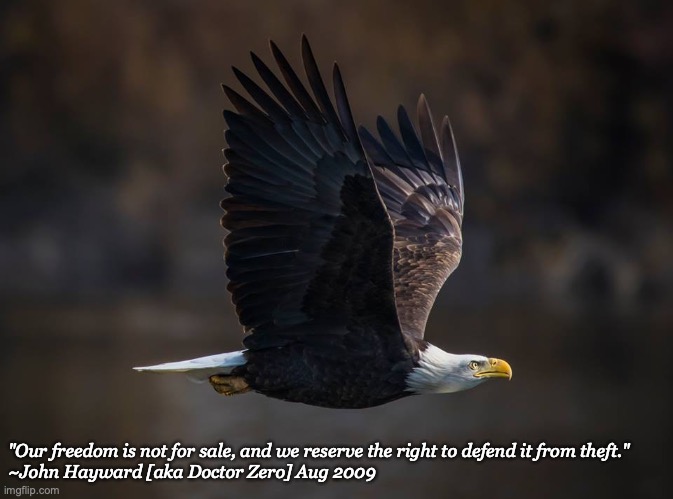 "Our freedom is not for sale" | "Our freedom is not for sale, and we reserve the right to defend it from theft."
~John Hayward [aka Doctor Zero] Aug 2009 | image tagged in eagle in flight | made w/ Imgflip meme maker