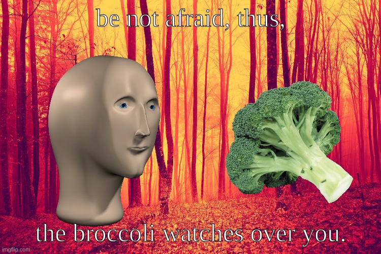 Be not afraid, thus, the broccoli watches over you. | be not afraid, thus, the broccoli watches over you. | image tagged in meme man,broccoli | made w/ Imgflip meme maker