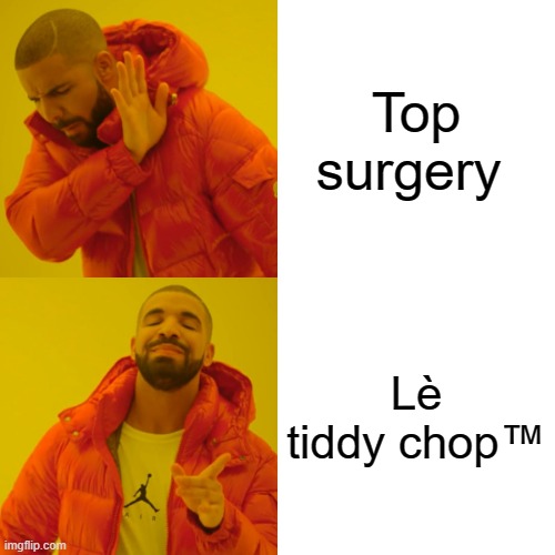 Lè tiddy chop™ | Top surgery; Lè tiddy chop™ | image tagged in memes,drake hotline bling,transgender | made w/ Imgflip meme maker