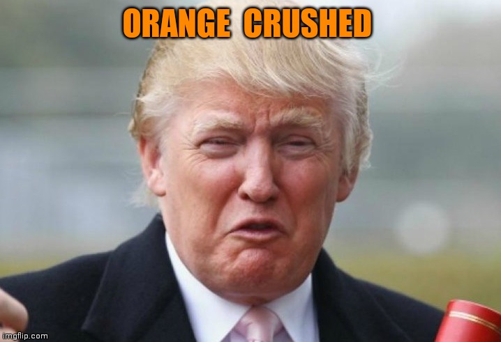 Trump Crybaby | ORANGE  CRUSHED | image tagged in trump crybaby | made w/ Imgflip meme maker