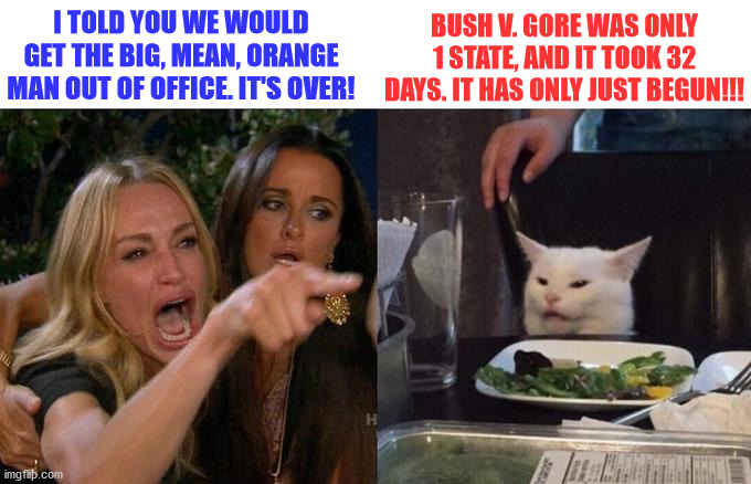 It has only just begun | I TOLD YOU WE WOULD GET THE BIG, MEAN, ORANGE MAN OUT OF OFFICE. IT'S OVER! BUSH V. GORE WAS ONLY 1 STATE, AND IT TOOK 32 DAYS. IT HAS ONLY JUST BEGUN!!! | image tagged in woman yelling at cat,2020 elections,presidential election,joe biden,trump | made w/ Imgflip meme maker