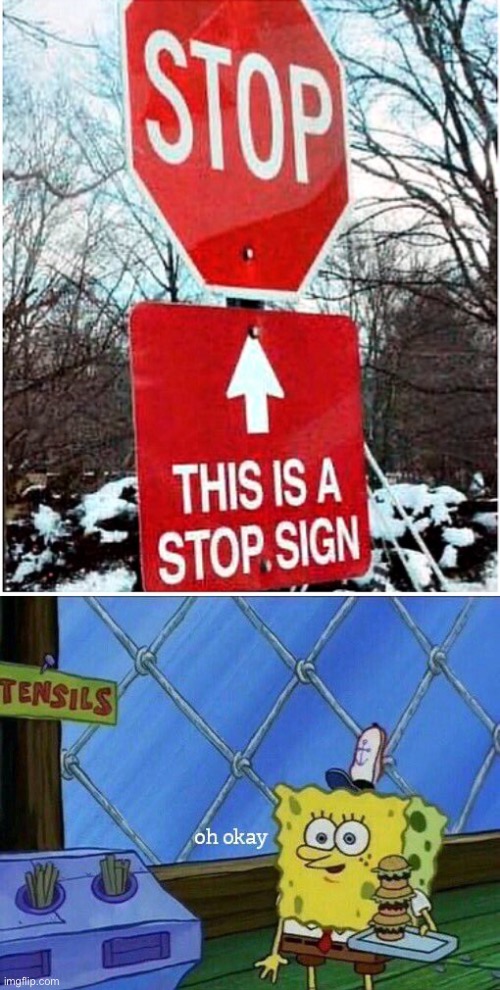 STOP this is a stop sign | image tagged in oh okay | made w/ Imgflip meme maker