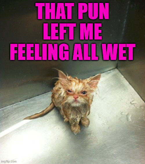 that pun | image tagged in that pun | made w/ Imgflip meme maker