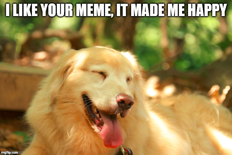 made me happy | image tagged in made me happy | made w/ Imgflip meme maker