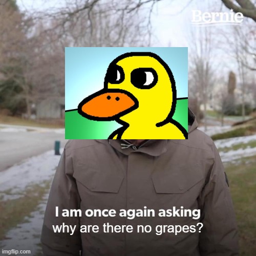 GRAPE | why are there no grapes? | image tagged in memes,bernie i am once again asking for your support | made w/ Imgflip meme maker