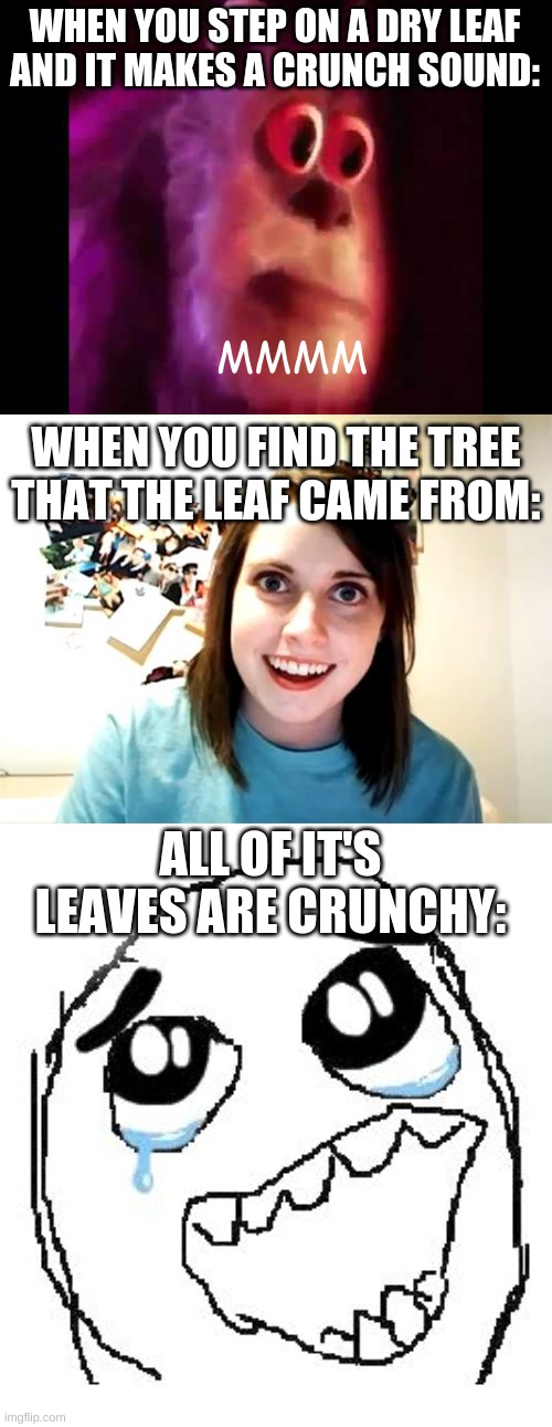 WHEN YOU STEP ON A DRY LEAF AND IT MAKES A CRUNCH SOUND:; MMMM; WHEN YOU FIND THE TREE THAT THE LEAF CAME FROM:; ALL OF IT'S LEAVES ARE CRUNCHY: | image tagged in sully groan,memes,overly attached girlfriend,happy guy rage face | made w/ Imgflip meme maker