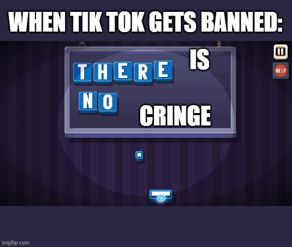 I wish there was no cringe | WHEN TIK TOK GETS BANNED:; IS; CRINGE | image tagged in there is no game | made w/ Imgflip meme maker