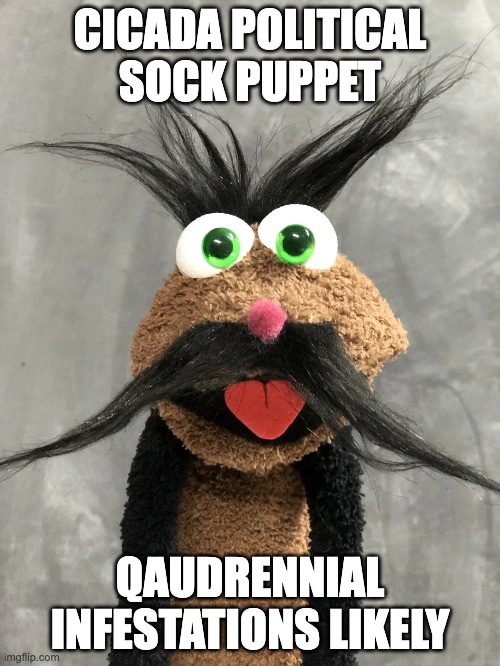 sock puppet, politics | CICADA POLITICAL SOCK PUPPET; QAUDRENNIAL INFESTATIONS LIKELY | image tagged in sock,political meme | made w/ Imgflip meme maker