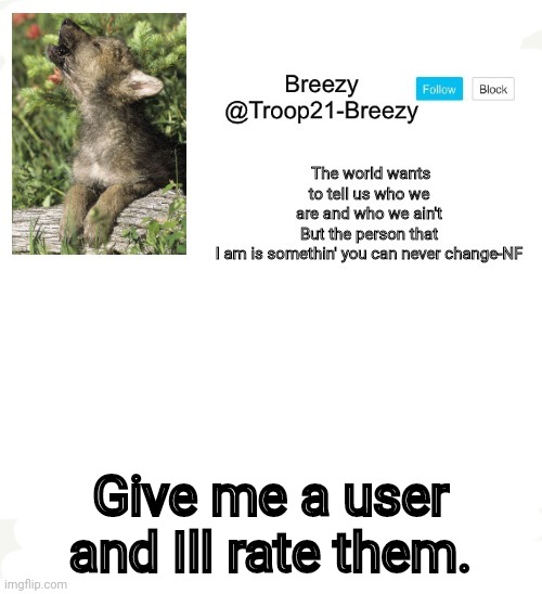 Give me a user and Ill rate them. | made w/ Imgflip meme maker