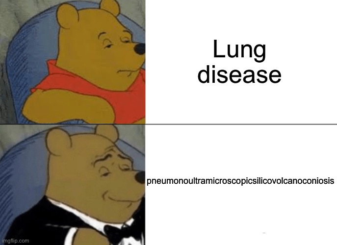 More fun to say the longer version | Lung disease; pneumonoultramicroscopicsilicovolcanoconiosis | image tagged in memes,tuxedo winnie the pooh,pneumonoultramicroscopicsilicovolcanoconiosis,lung disease,long words | made w/ Imgflip meme maker