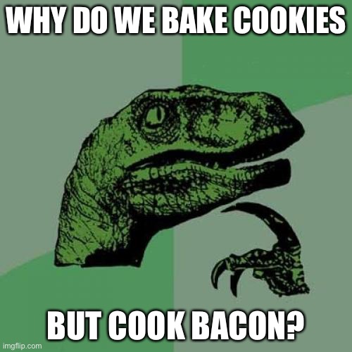 Philosoraptor | WHY DO WE BAKE COOKIES; BUT COOK BACON? | image tagged in memes,philosoraptor | made w/ Imgflip meme maker