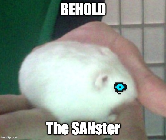 SANster- The hamster Sans | BEHOLD; The SANster | image tagged in hamster,sans | made w/ Imgflip meme maker