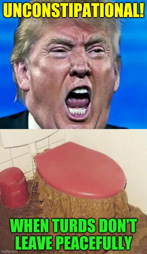 UNCONSTIPATIONAL! WHEN TURDS DON'T
LEAVE PEACEFULLY | image tagged in trump yelling,trump loses,overflowing toilet,shitstorm,shitshow,evict | made w/ Imgflip meme maker
