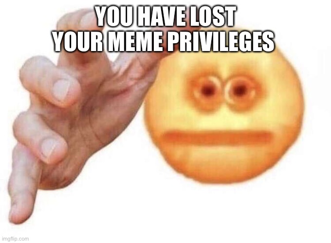 vibe check | YOU HAVE LOST YOUR MEME PRIVILEGES | image tagged in vibe check | made w/ Imgflip meme maker