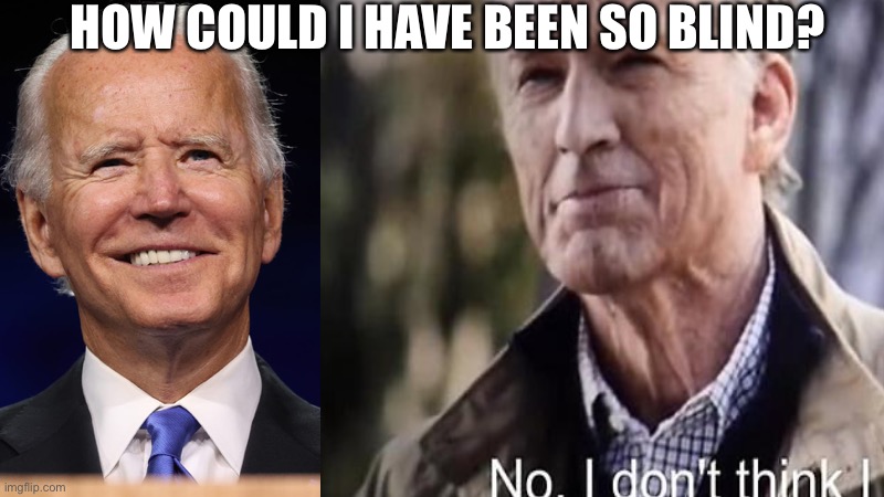 How could I Have Been So Blind? | HOW COULD I HAVE BEEN SO BLIND? | image tagged in blank for president | made w/ Imgflip meme maker