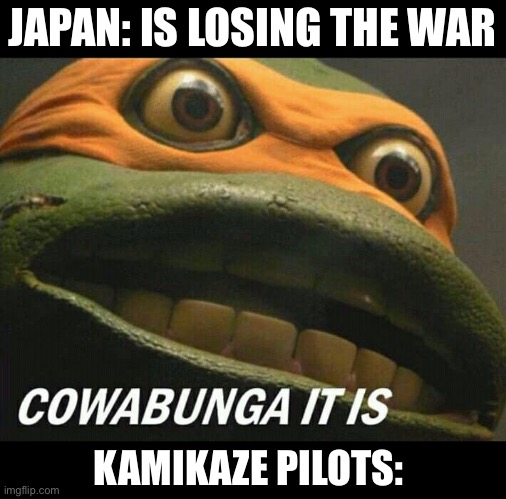 Cowabunga it is | JAPAN: IS LOSING THE WAR; KAMIKAZE PILOTS: | image tagged in cowabunga it is | made w/ Imgflip meme maker