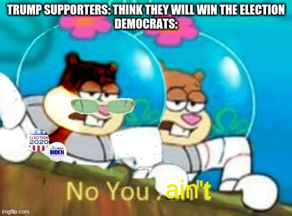 TRUMP SUPPORTERS: THINK THEY WILL WIN THE ELECTION
DEMOCRATS:; ain't | made w/ Imgflip meme maker