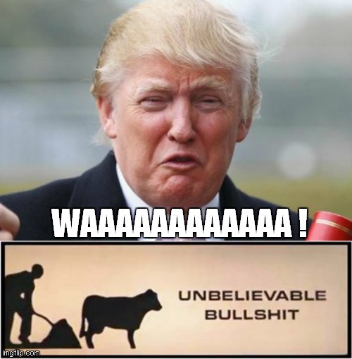 Trump: I'm A Loser ! | WAAAAAAAAAAAA ! | image tagged in trump crybaby | made w/ Imgflip meme maker