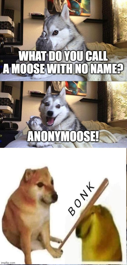 this needs no explanation | WHAT DO YOU CALL A MOOSE WITH NO NAME? ANONYMOOSE! | image tagged in memes,bad pun dog | made w/ Imgflip meme maker
