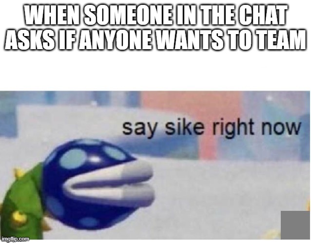 say sike rn | WHEN SOMEONE IN THE CHAT ASKS IF ANYONE WANTS TO TEAM | image tagged in say sike right now | made w/ Imgflip meme maker