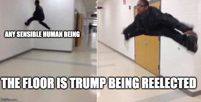 The floor is | ANY SENSIBLE HUMAN BEING; THE FLOOR IS TRUMP BEING REELECTED | image tagged in the floor is | made w/ Imgflip meme maker