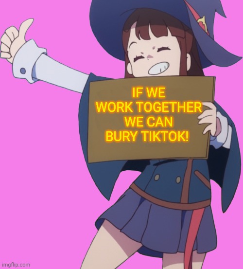 Anime girls join the war! | IF WE WORK TOGETHER WE CAN BURY TIKTOK! | image tagged in war on tiktok,tiktok,bad,anime girl,sign | made w/ Imgflip meme maker