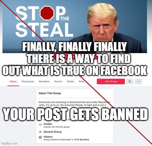FaceBook truth detector | FINALLY, FINALLY FINALLY     THERE IS A WAY TO FIND OUT WHAT IS TRUE ON FACEBOOK; YOUR POST GETS BANNED | image tagged in banned,facebook,fake news | made w/ Imgflip meme maker