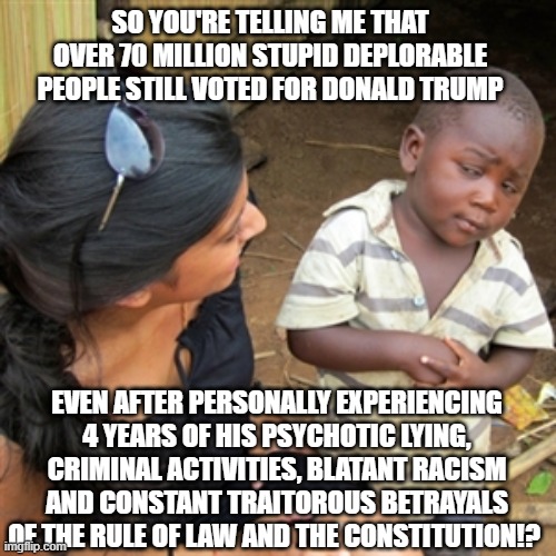 Trump Voters | SO YOU'RE TELLING ME THAT OVER 70 MILLION STUPID DEPLORABLE PEOPLE STILL VOTED FOR DONALD TRUMP; EVEN AFTER PERSONALLY EXPERIENCING 4 YEARS OF HIS PSYCHOTIC LYING, CRIMINAL ACTIVITIES, BLATANT RACISM AND CONSTANT TRAITOROUS BETRAYALS OF THE RULE OF LAW AND THE CONSTITUTION!? | image tagged in so you're telling me | made w/ Imgflip meme maker