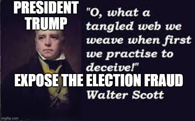 Exposed Election Fraud and Voter Fraud | PRESIDENT TRUMP; EXPOSE THE ELECTION FRAUD | image tagged in tangled web,voter fraud,election fraud | made w/ Imgflip meme maker