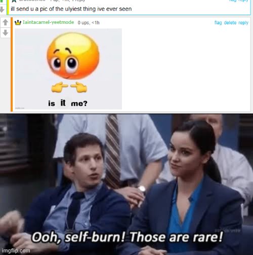 me after a face reveal XD | image tagged in ooh self-burn those are rare | made w/ Imgflip meme maker