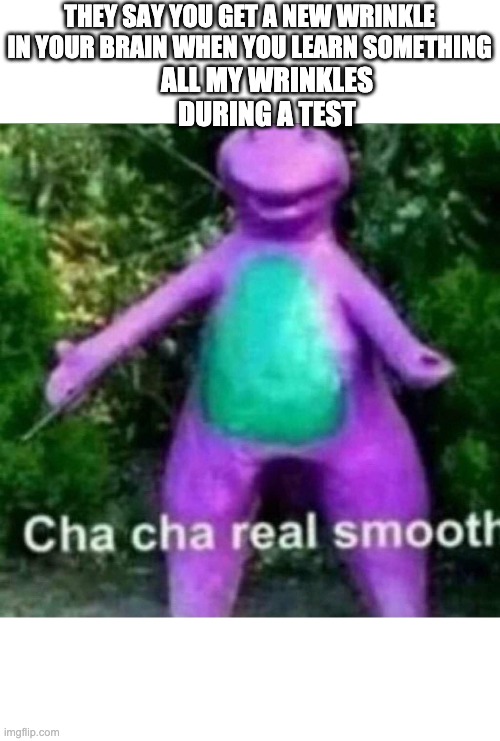 Cha Cha Real Smooth | THEY SAY YOU GET A NEW WRINKLE IN YOUR BRAIN WHEN YOU LEARN SOMETHING; ALL MY WRINKLES DURING A TEST | image tagged in cha cha real smooth | made w/ Imgflip meme maker
