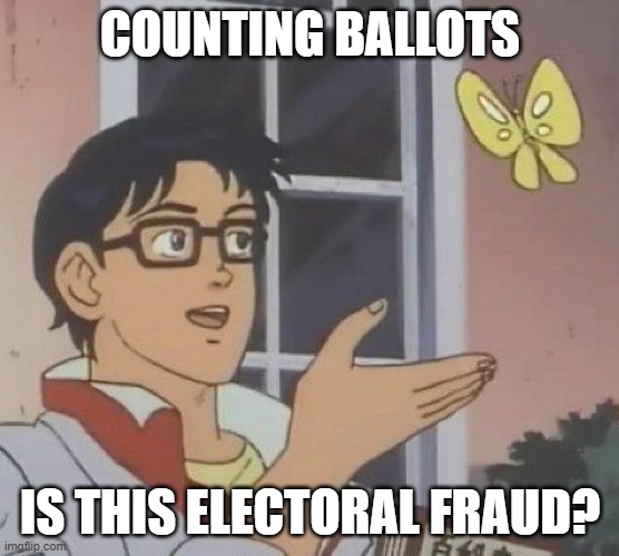 is this butterfly | COUNTING BALLOTS; IS THIS ELECTORAL FRAUD? | image tagged in is this butterfly | made w/ Imgflip meme maker