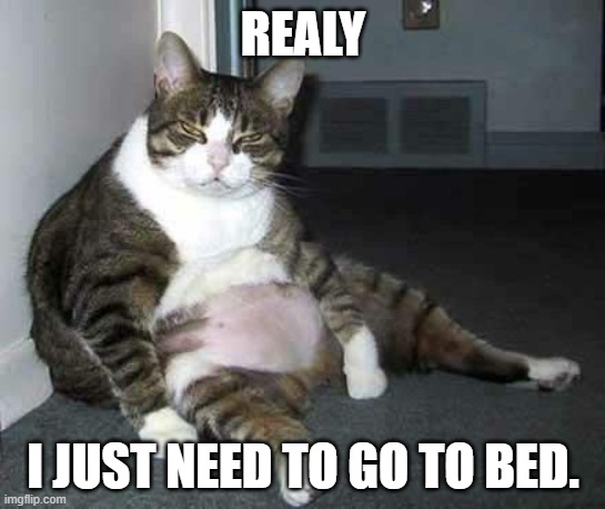 yawn | REALY; I JUST NEED TO GO TO BED. | image tagged in fat cat | made w/ Imgflip meme maker