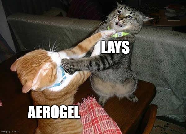 Two cats fighting for real | LAYS AEROGEL | image tagged in two cats fighting for real | made w/ Imgflip meme maker