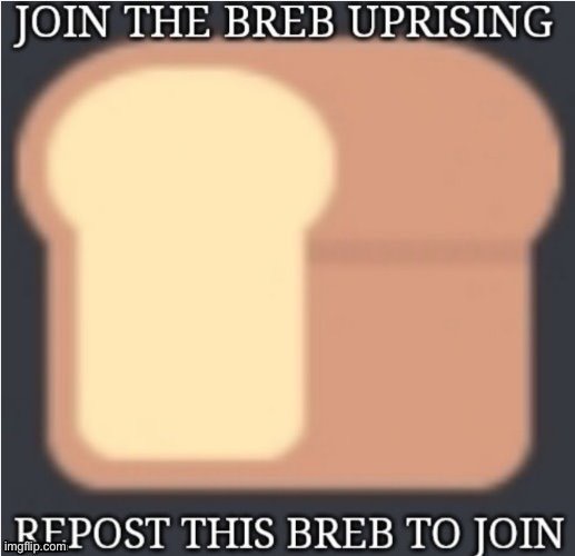 I HAVE JOINED! | image tagged in bread | made w/ Imgflip meme maker