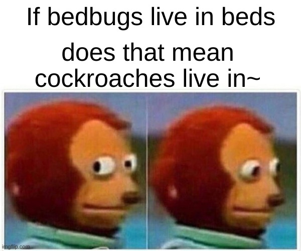 Monkey Puppet Meme | If bedbugs live in beds; does that mean cockroaches live in~ | image tagged in memes,monkey puppet,cockroach,funny,cockroaches,bedbugs | made w/ Imgflip meme maker