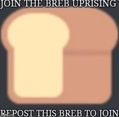 Join the breb uprising | image tagged in join the breb uprising | made w/ Imgflip meme maker