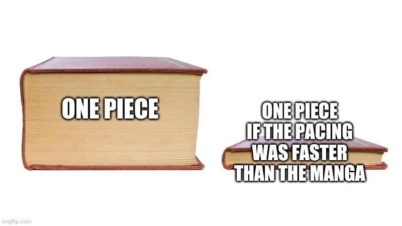 I don't know what to title my image | ONE PIECE IF THE PACING WAS FASTER THAN THE MANGA; ONE PIECE | image tagged in thick book thin book,one piece | made w/ Imgflip meme maker