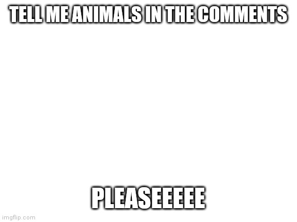 I'm making something:) | TELL ME ANIMALS IN THE COMMENTS; PLEASEEEEE | image tagged in blank white template | made w/ Imgflip meme maker