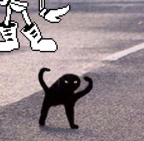 Papyrus go to the street and found a weird looking cat | image tagged in papyrus | made w/ Imgflip meme maker