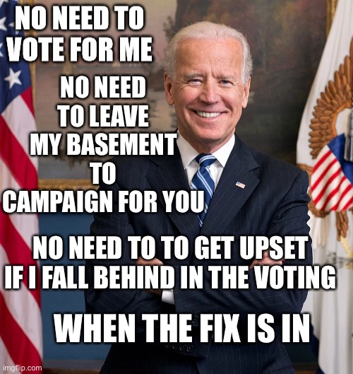 When You Know You Know | NO NEED TO LEAVE MY BASEMENT TO CAMPAIGN FOR YOU; NO NEED TO TO GET UPSET IF I FALL BEHIND IN THE VOTING; WHEN THE FIX IS IN | image tagged in then you would know if you knew,the nose knows and the bees knews | made w/ Imgflip meme maker