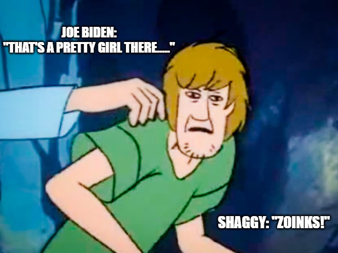 Shaggy meme | JOE BIDEN:
"THAT'S A PRETTY GIRL THERE....."; SHAGGY: "ZOINKS!" | image tagged in shaggy meme | made w/ Imgflip meme maker