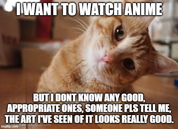 Please tell me | I WANT TO WATCH ANIME; BUT I DONT KNOW ANY GOOD, APPROPRIATE ONES, SOMEONE PLS TELL ME, THE ART I'VE SEEN OF IT LOOKS REALLY GOOD. | image tagged in curious question cat | made w/ Imgflip meme maker