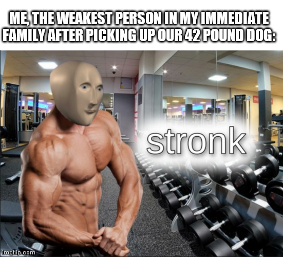 stronks | ME, THE WEAKEST PERSON IN MY IMMEDIATE FAMILY AFTER PICKING UP OUR 42 POUND DOG: | image tagged in stronks | made w/ Imgflip meme maker