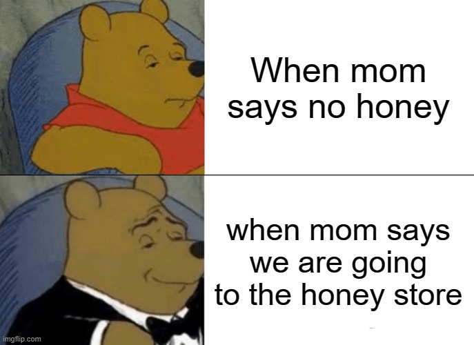 Tuxedo Winnie The Pooh Meme | When mom says no honey; when mom says we are going to the honey store | image tagged in memes,tuxedo winnie the pooh | made w/ Imgflip meme maker