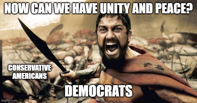 Sparta Leonidas | NOW CAN WE HAVE UNITY AND PEACE? CONSERVATIVE AMERICANS; DEMOCRATS | image tagged in memes,sparta leonidas | made w/ Imgflip meme maker