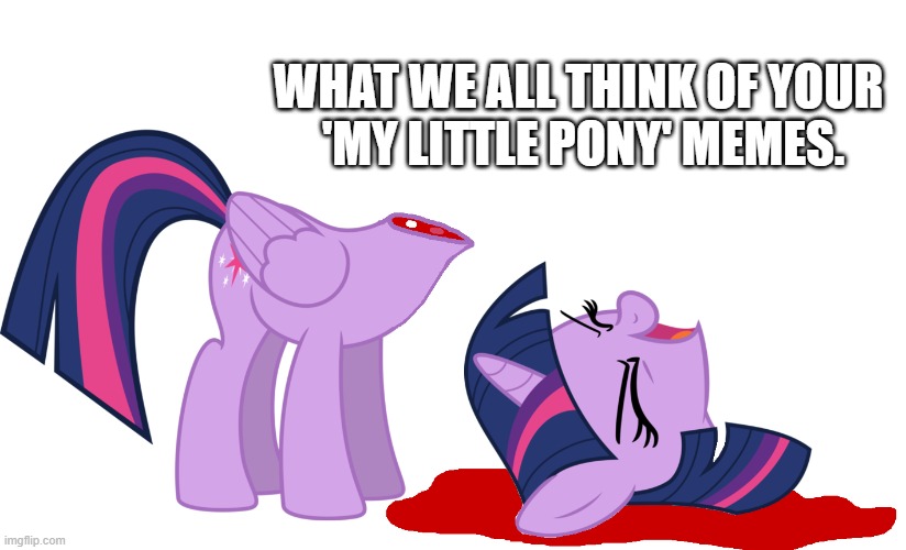 WHAT WE ALL THINK OF YOUR 
'MY LITTLE PONY' MEMES. | made w/ Imgflip meme maker