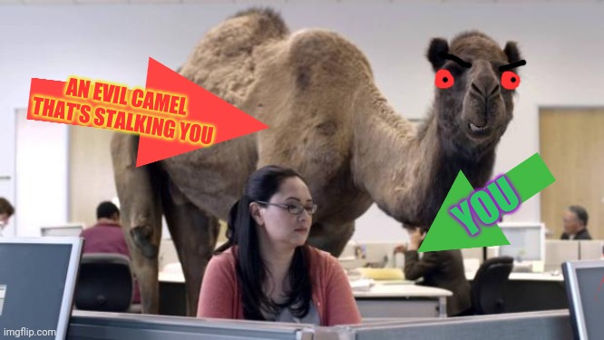 Maybe this is why people hate camels? | AN EVIL CAMEL THAT'S STALKING YOU; YOU | image tagged in hump day camel,stalker,office,evil,camel | made w/ Imgflip meme maker