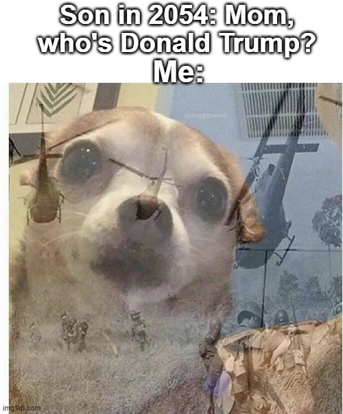 PTSD Chihuahua | Son in 2054: Mom, who's Donald Trump? Me: | image tagged in ptsd chihuahua | made w/ Imgflip meme maker